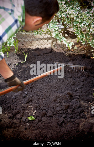 Gärtner Rechen frischen Schmutz im Garten, Toronto, Ontario, Kanada Stockfoto