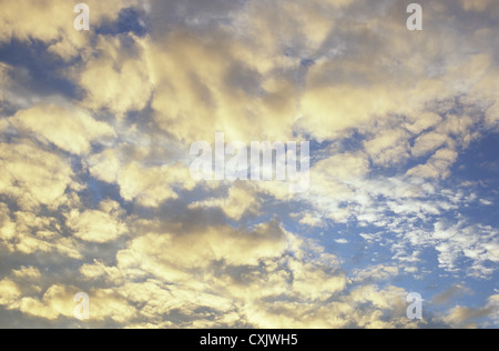 Cumulus und Strato Cumulus Wolken gegen blauen Himmel drehen von weiß zu Gold am Ende des Tages gebrochen Stockfoto