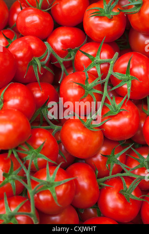 Nahaufnahme von Tomaten am Markt Stockfoto