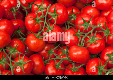 Nahaufnahme von Tomaten am Markt Stockfoto