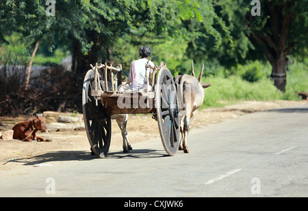 Traditionellen Ochsenkarren Andhra Pradesh in Indien Stockfoto