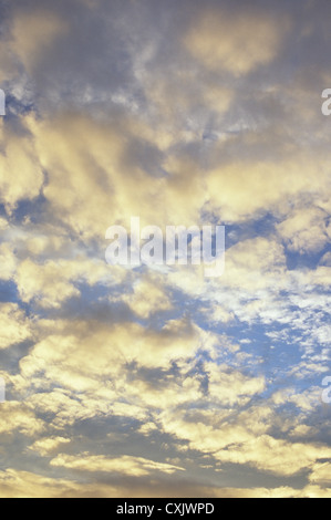 Cumulus und Strato Cumulus Wolken gegen blauen Himmel drehen von weiß zu Gold am Ende des Tages gebrochen Stockfoto