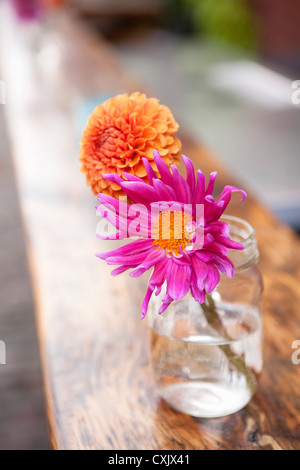 Dahlien in der Vase, Toronto, Ontario, Kanada Stockfoto