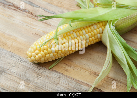 Maiskolben, Birmingham, Alabama, USA Stockfoto