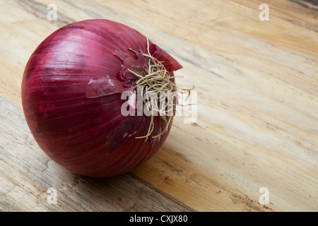 Rote Zwiebel, Birmingham, Alabama, USA Stockfoto