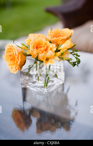 Rosen in Vase, Muskoka, Ontario, Kanada Stockfoto