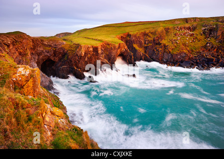 Wellen gegen die Klippen mit Höhle, Bürzel Punkt, Cornwall, England Stockfoto