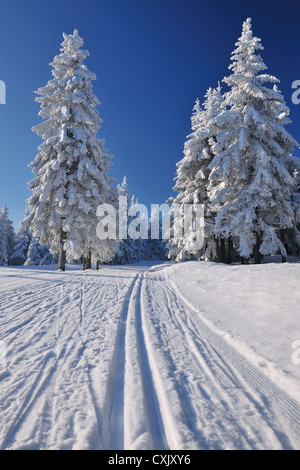 Verschneite Landschaft mit Skipisten, Rennsteig, gröberen Beerberg, Thüringen, Deutschland Stockfoto