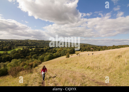 Frau zu Fuß in Box Hill in Surrey Stockfoto