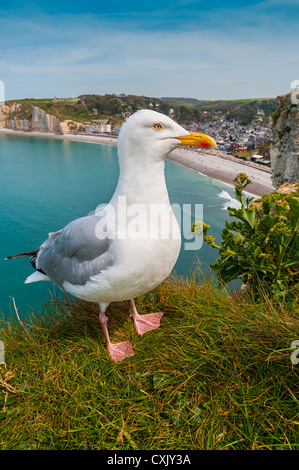 Frankreich, Normandie, Etretat, Frankreich, Europa Stockfoto