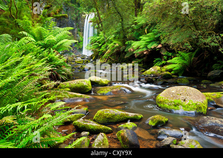 Hopetoun Falls im Great Otway National Park. Stockfoto