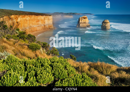 Zwei der zwölf Apostel an der Great Ocean Road in Victoria. Stockfoto