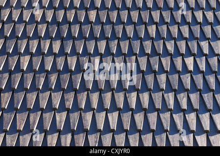 Dach, Fliesen, Longyearbyen, Svalbard, Spitzbergen, Norwegen Stockfoto