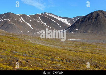 Mushamna, Woodfjorden, Spitzbergen, Svalbard, Norwegen Stockfoto