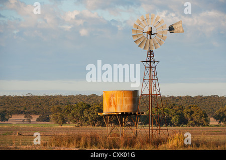 Klassischen Southern Cross Windmühle mit Wassertank. Stockfoto