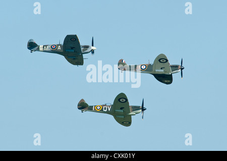 Drei Spitfires im Formationsflug Stockfoto