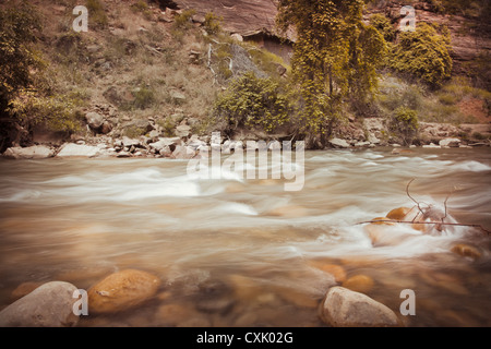 Riverside Walk Trail, Zion Nationalpark, Utah, USA Stockfoto