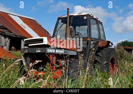 Alte, rostige, verlassene David Brown Traktor Landmaschinen neben einer Scheune England Großbritannien Großbritannien Großbritannien Großbritannien Großbritannien Großbritannien Großbritannien Großbritannien Großbritannien Großbritannien Großbritannien Großbritannien Großbritannien Großbritannien Großbritannien Großbritannien Großbritannien Großbritannien Großbritannien Großbritannien Stockfoto