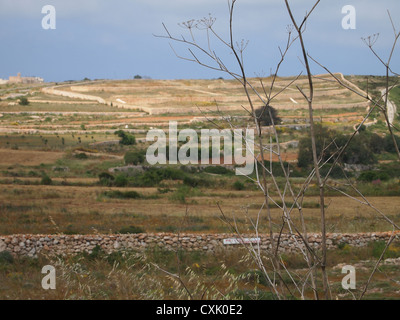 Schöne Aussicht auf die Felder im Herbst Stockfoto