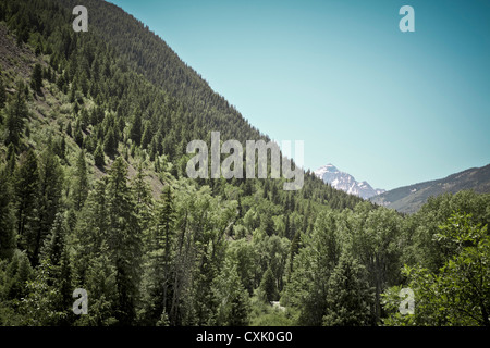 Malerische Aussicht auf Berge, Aspen, Colorado, USA Stockfoto