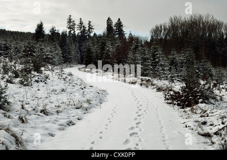 Fußspuren im Schnee auf den Trail in der Nähe von Villingen Schwarzwald, Baden-Württemberg, Deutschland Stockfoto