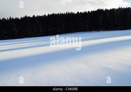 Winterlandschaft in der Nähe von Villingen Schwarzwald, Baden-Württemberg, Deutschland Stockfoto