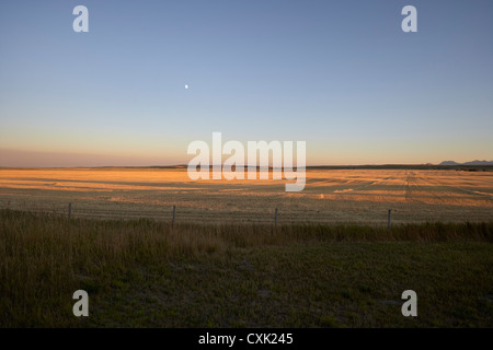 Leeres Feld bei Sonnenuntergang, Pincher Creek, Alberta, Kanada Stockfoto