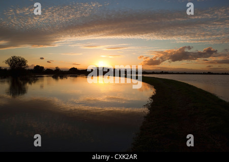 Ein Herbst-Landschaft mit Sonnenuntergang über den Fluten des unteren Derwent Valley in Yorkshire england Stockfoto