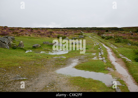 Alte Straßenbahn durch die stillgelegten Steinbruch am Fuße des Haytor Rocks, blühende Heide am Horizont, Dartmoor Nationalpark Stockfoto