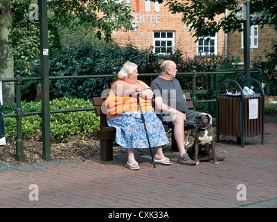 Übergewichtige Frau saß mit ihrem Mann und Hund und saß auf der Parkbank. England, Großbritannien Stockfoto