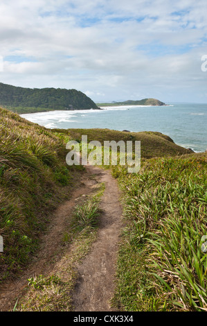 Weg entlang der Küste Hügel, Ilha do Mel, Parana, Brasilien Stockfoto