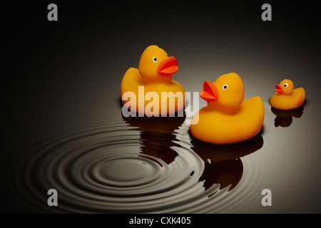 Die Enten mit Welligkeit auf dem Wasser Stockfoto