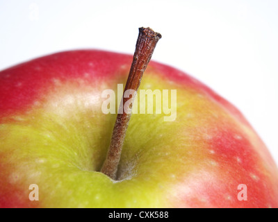 Apple-Pink Lady Stockfoto