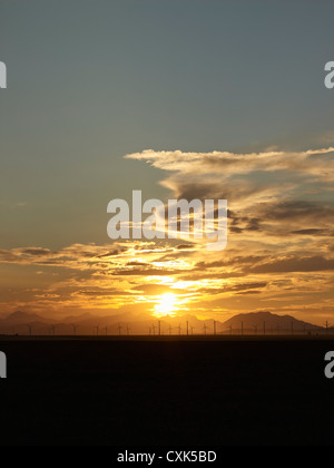 Sonnenuntergang und Windkraftanlagen, Pincher Creek, Alberta, Kanada Stockfoto