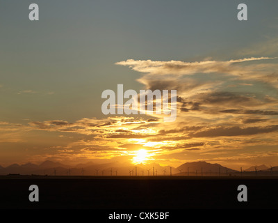 Sonnenuntergang und Windkraftanlagen, Pincher Creek, Alberta, Kanada Stockfoto