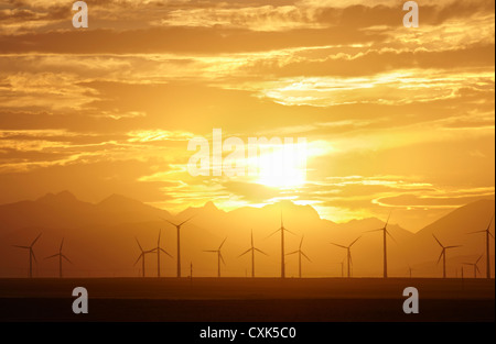 Sonnenuntergang und Windkraftanlagen, Pincher Creek, Alberta, Kanada Stockfoto