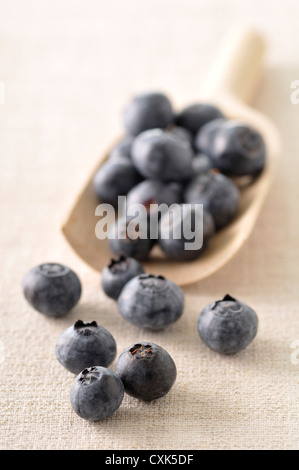 Heidelbeeren Stockfoto