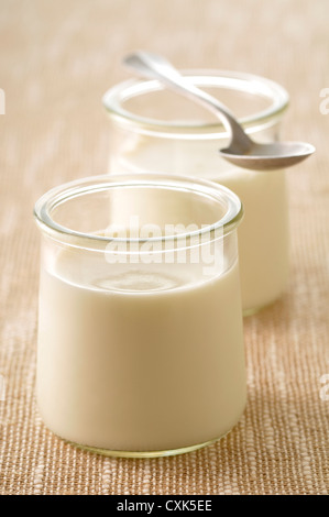 Naturjoghurt Stockfoto