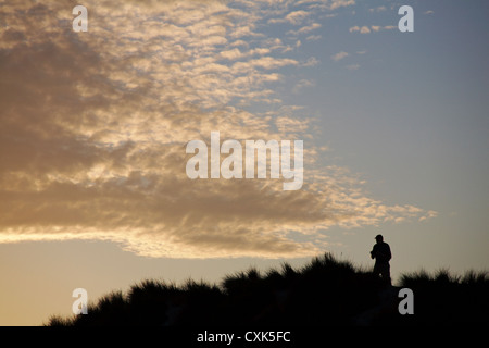 Man fotografiert den dramatischen Himmel Silhouette auf den Grasbüscheln auf einem Hügel am Studland, Dorset im August Stockfoto