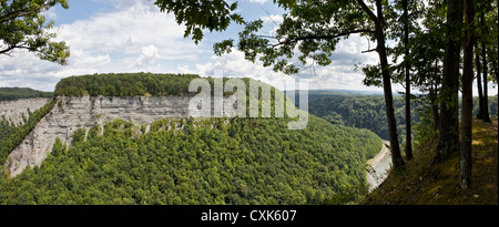 Genesee River Schlucht, Letchworth State Park, New York State Stockfoto