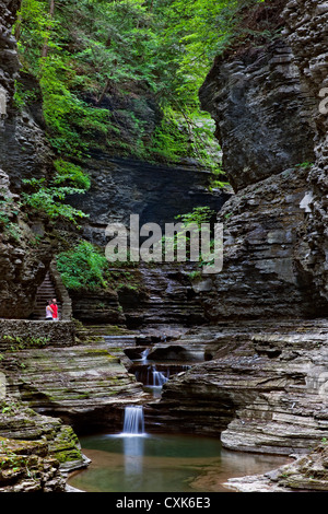 Watkins Glen State Park ist ein 400-Fuß-tief (120 m) schmale Schlucht im Bundesstaat New York Stockfoto