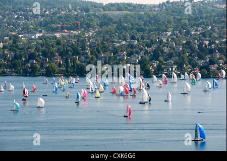 Segelboote auf dem Zürichsee, See, Regatta Stockfoto