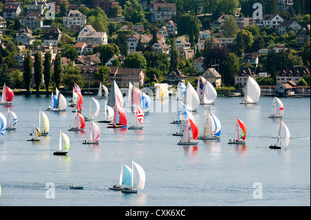 Segelboote auf dem Zürichsee, See, Regatta Stockfoto