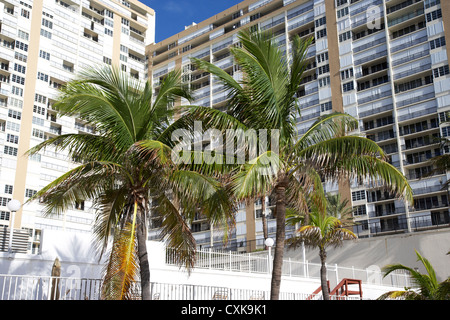 Palmen wachsen vor Ferienwohnungen Hotels und am Strand Entwicklungen Fort Lauderdale beach Florida usa Stockfoto