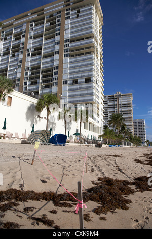 Sea Turtle Nest abgesperrt vor Ferienwohnungen Hotels und am Strand Entwicklungen Fort Lauderdale beach Florida Usa Stockfoto