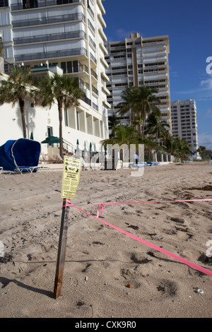 Sea Turtle Nest abgesperrt vor Ferienwohnungen Hotels und am Strand Entwicklungen Fort Lauderdale beach Florida Usa Stockfoto