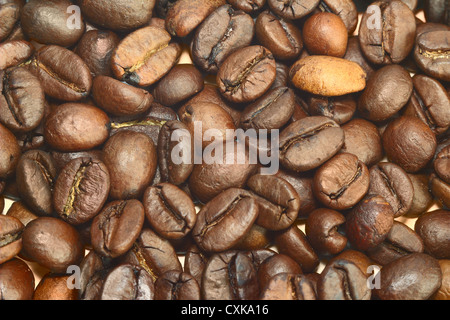 Kaffeebohnen als Hintergrund Stockfoto