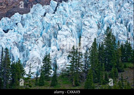 Die Coleman-Gletscher von Heliotrop Höhenweg im Mt. Baker National Forest gesehen. US-Bundesstaat Washington. Stockfoto