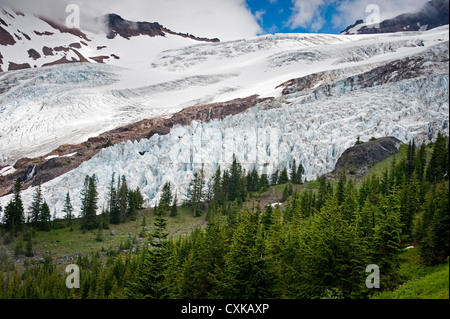 Die Coleman-Gletscher von Heliotrop Höhenweg im Mt. Baker National Forest gesehen. US-Bundesstaat Washington. Stockfoto