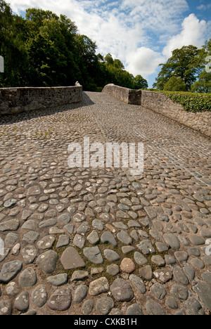 Brig o Doon ', einem späten mittelalterlichen gewölbten Brücke über den Fluß Doon, Alloway, Ayrshire. Schottland.   SCO 8571 Stockfoto